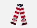 FIFA USA scarf